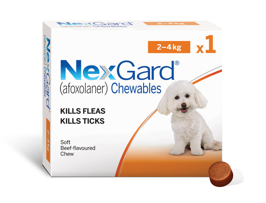 NexGard Chewables - Single Packs