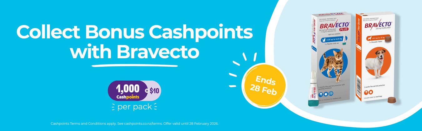 Flea & Worm for Cats