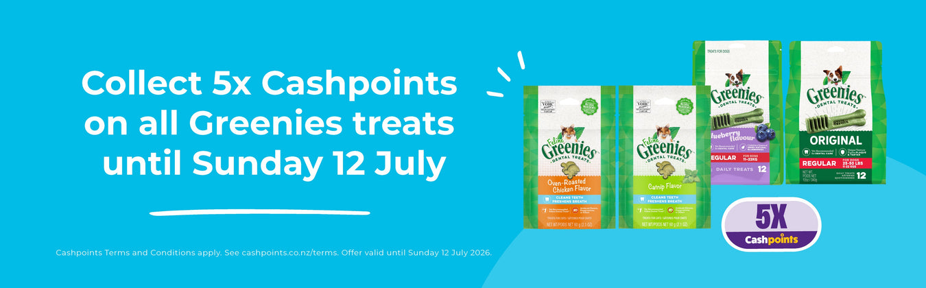 Special Offers