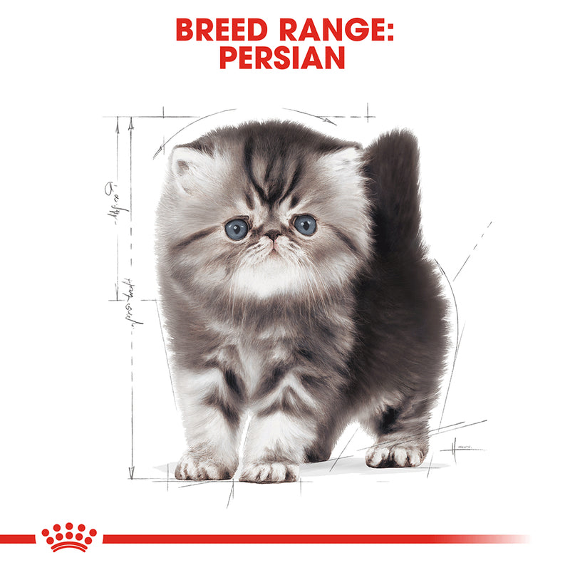 ROYAL CANIN® Persian Breed Kitten Dry Cat Food 2kg