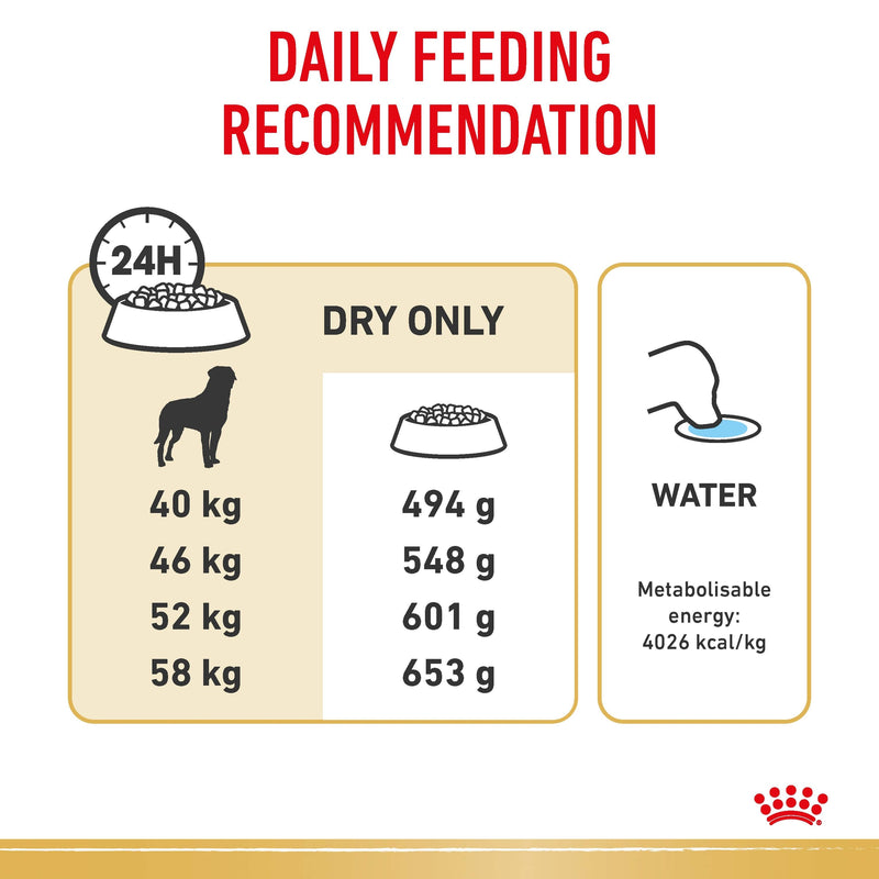 ROYAL CANIN® Rottweiler Breed Adult Dry Dog Food 12kg