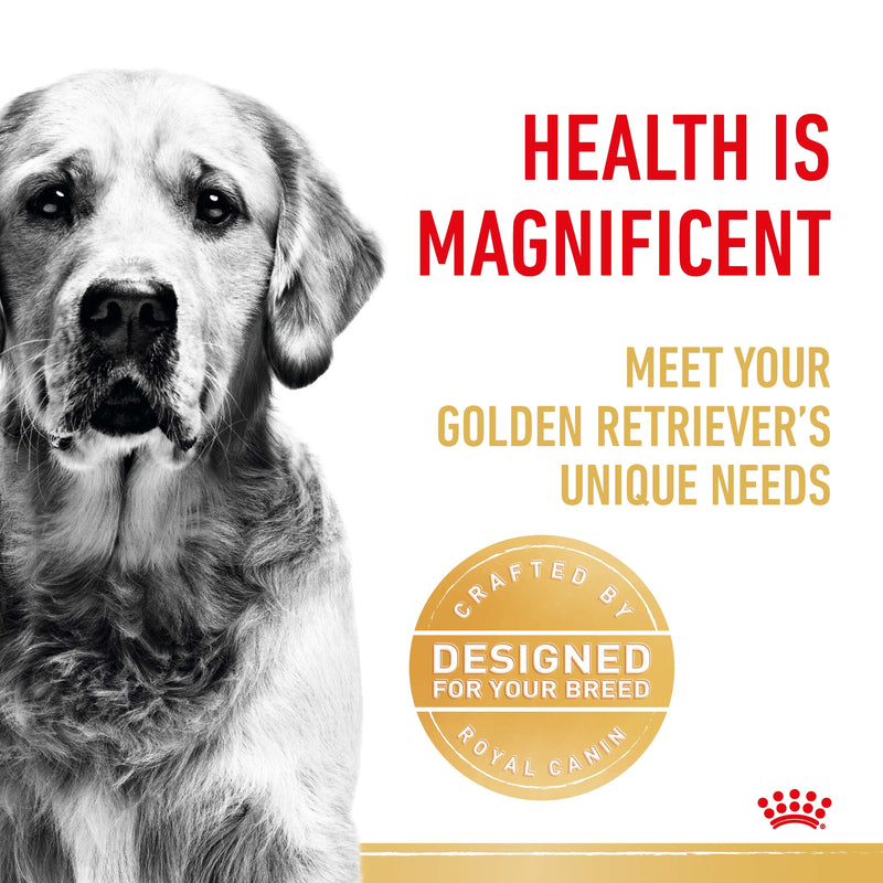 ROYAL CANIN® Golden Retriever Breed Adult Dry Dog Food 12kg