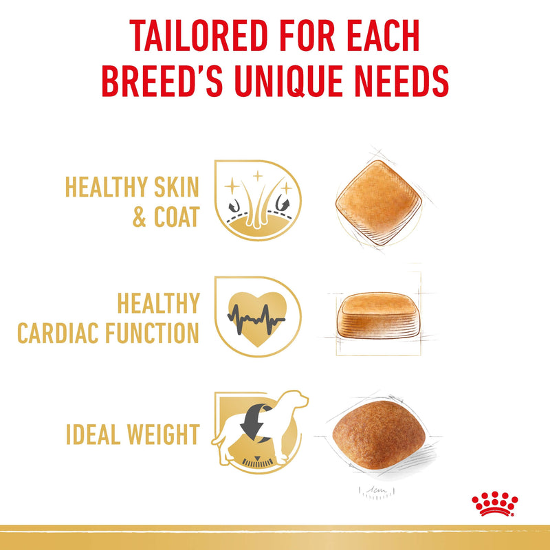 ROYAL CANIN® Golden Retriever Breed Adult Dry Dog Food 12kg