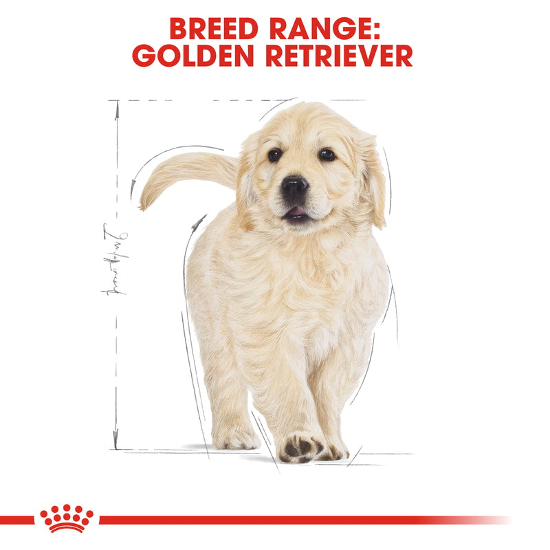 ROYAL CANIN® Golden Retriever Breed Puppy Dry Dog Food 12kg