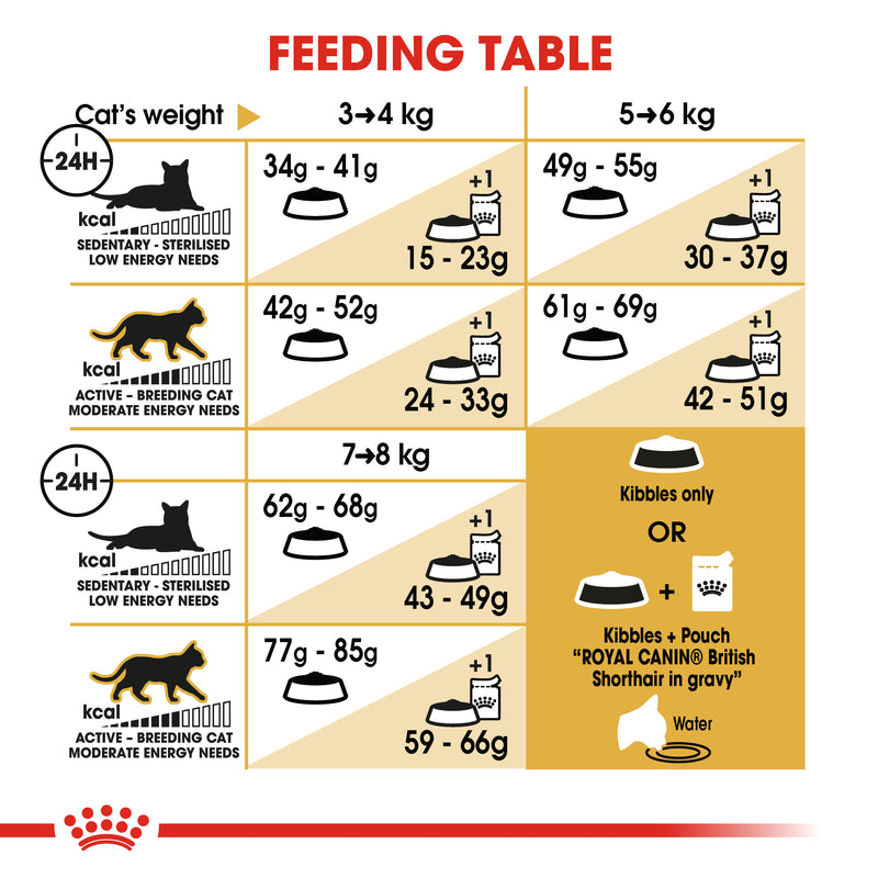 ROYAL CANIN® British Shorthair Breed Adult Dry Cat Food
