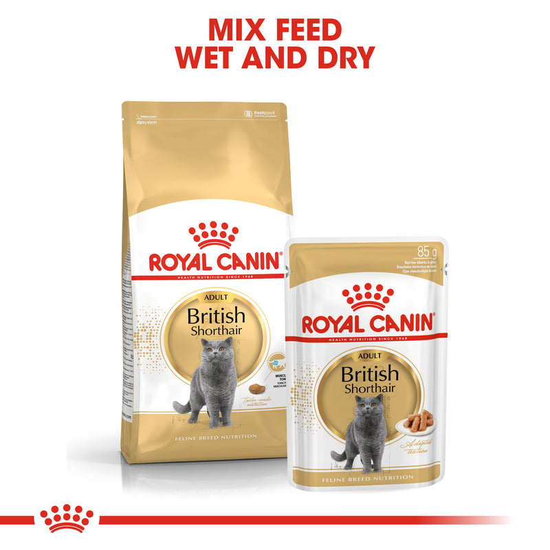 ROYAL CANIN® British Shorthair Breed Adult Dry Cat Food