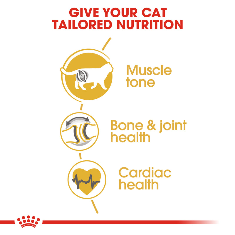 ROYAL CANIN® British Shorthair Breed Adult Dry Cat Food