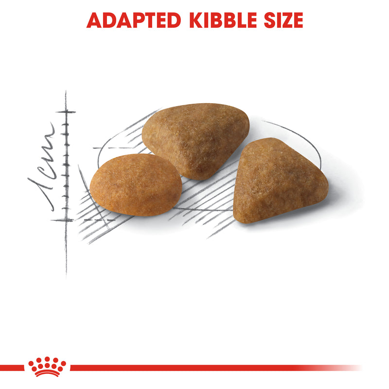 ROYAL CANIN® Exigent Savour Sensation Adult Dry Cat Food