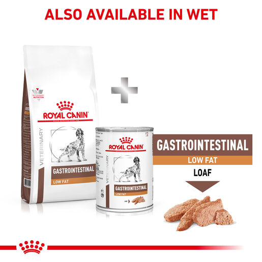 ROYAL CANIN® VETERINARY DIET Gastrointestinal Low Fat Adult Dry Dog Food
