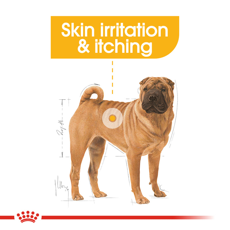 ROYAL CANIN® Medium Dermacomfort Care Dry Adult Dog Food
