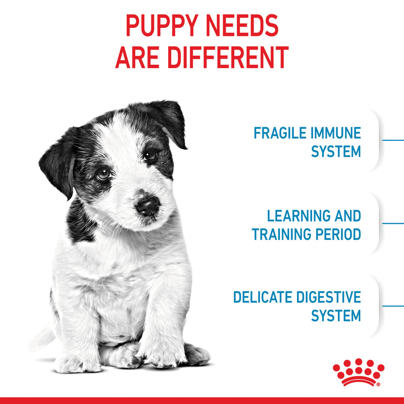ROYAL CANIN® Mini Puppy Dry Dog Food