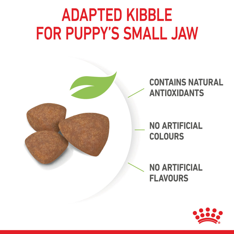 ROYAL CANIN® Mini Puppy Dry Dog Food