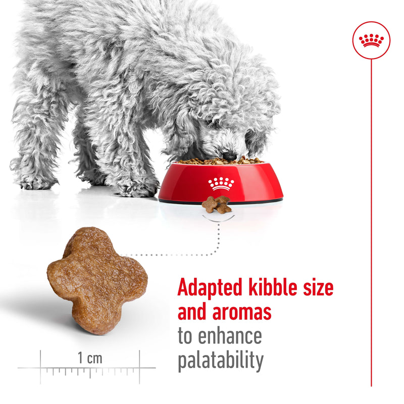 ROYAL CANIN® Mini Adult 8+ Dry Dog Food 2kg