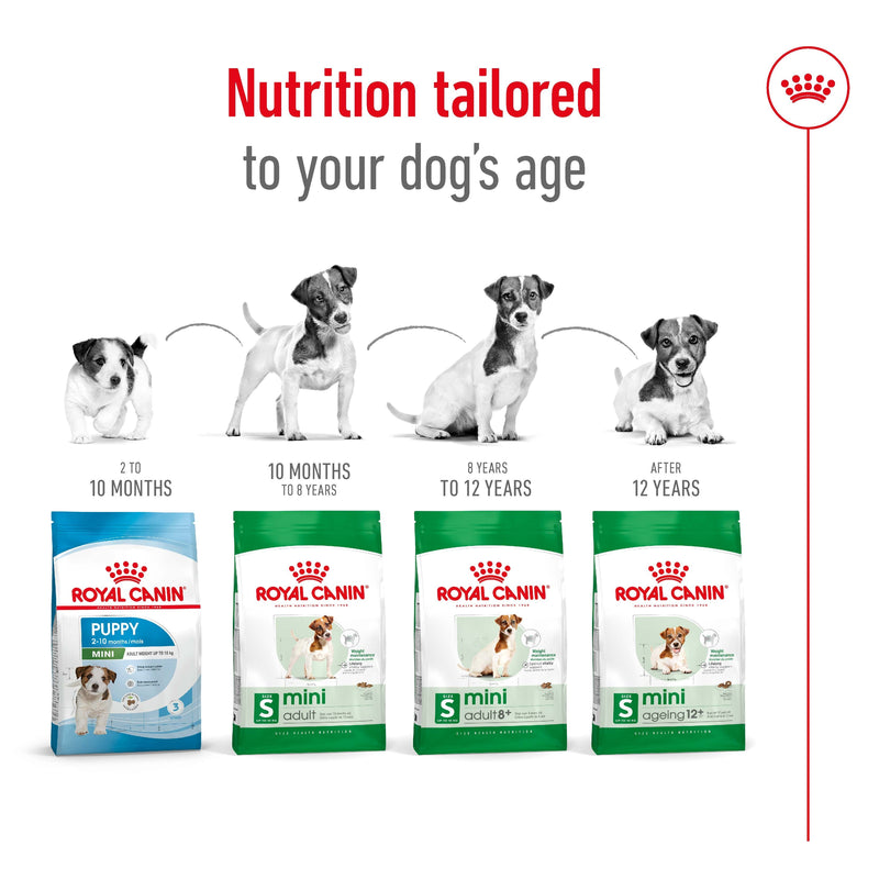 ROYAL CANIN® Mini Adult 8+ Dry Dog Food 2kg