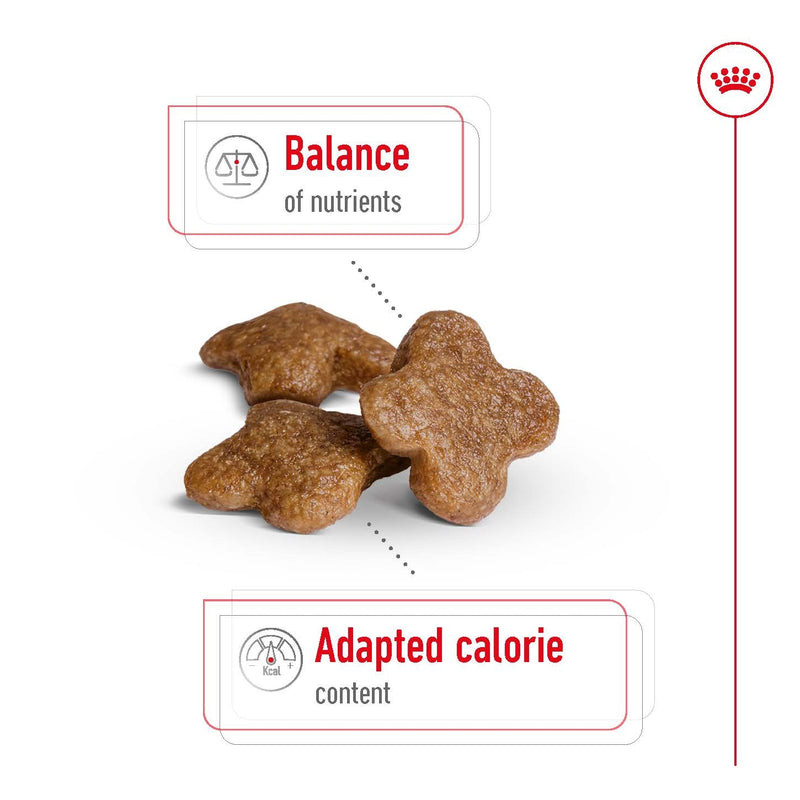 ROYAL CANIN® Mini Adult 8+ Dry Dog Food 2kg