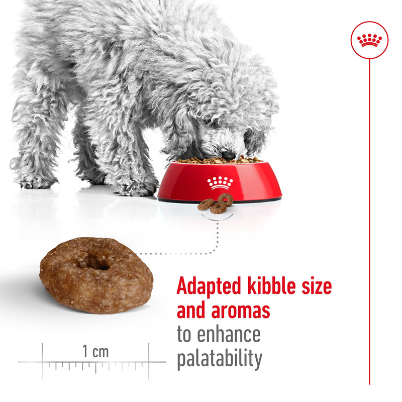 ROYAL CANIN® Mini Ageing 12+ Dry Dog Food 1.5kg