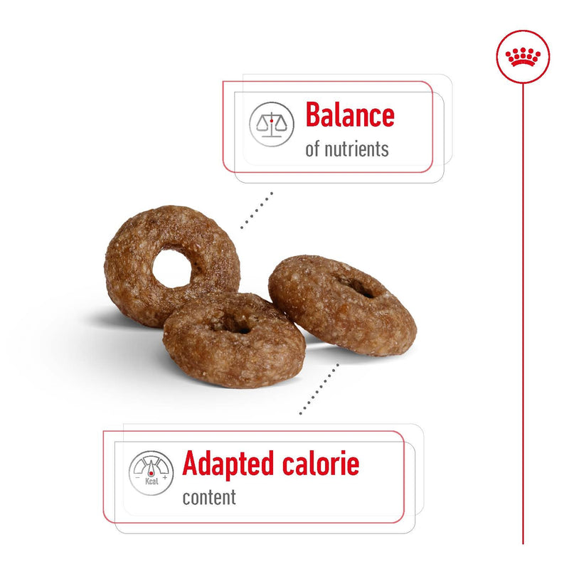 ROYAL CANIN® Mini Ageing 12+ Dry Dog Food 1.5kg