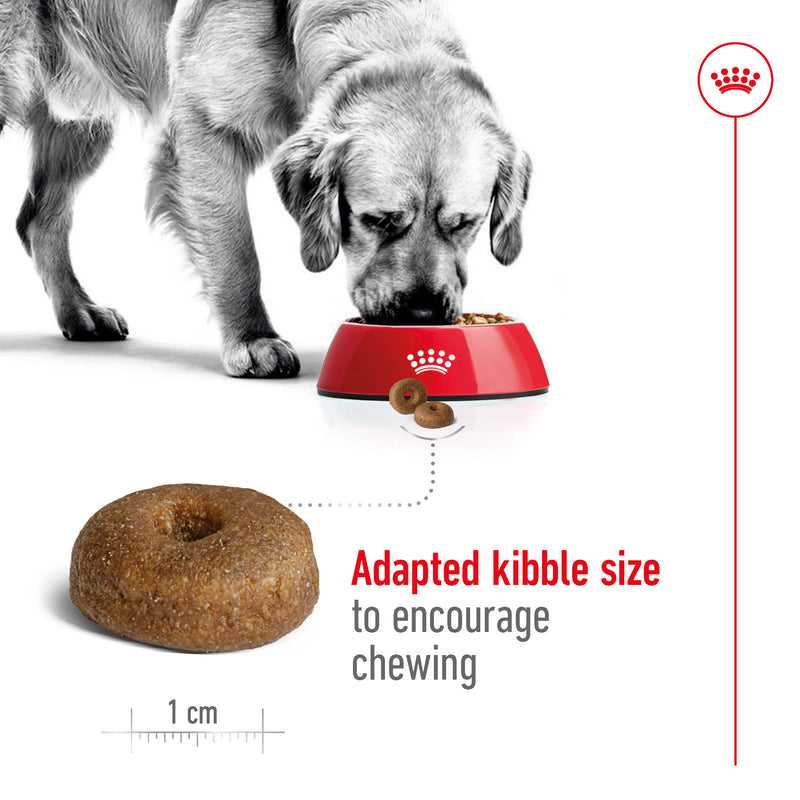 ROYAL CANIN® Maxi Ageing 8+ Dry Dog Food 15kg