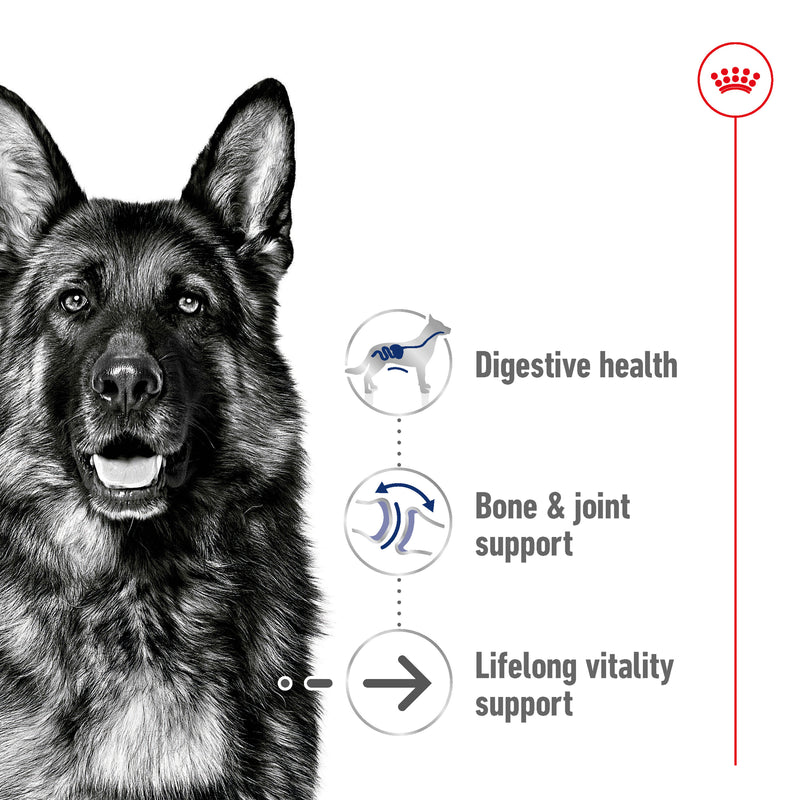 ROYAL CANIN® Maxi Ageing 8+ Dry Dog Food 15kg