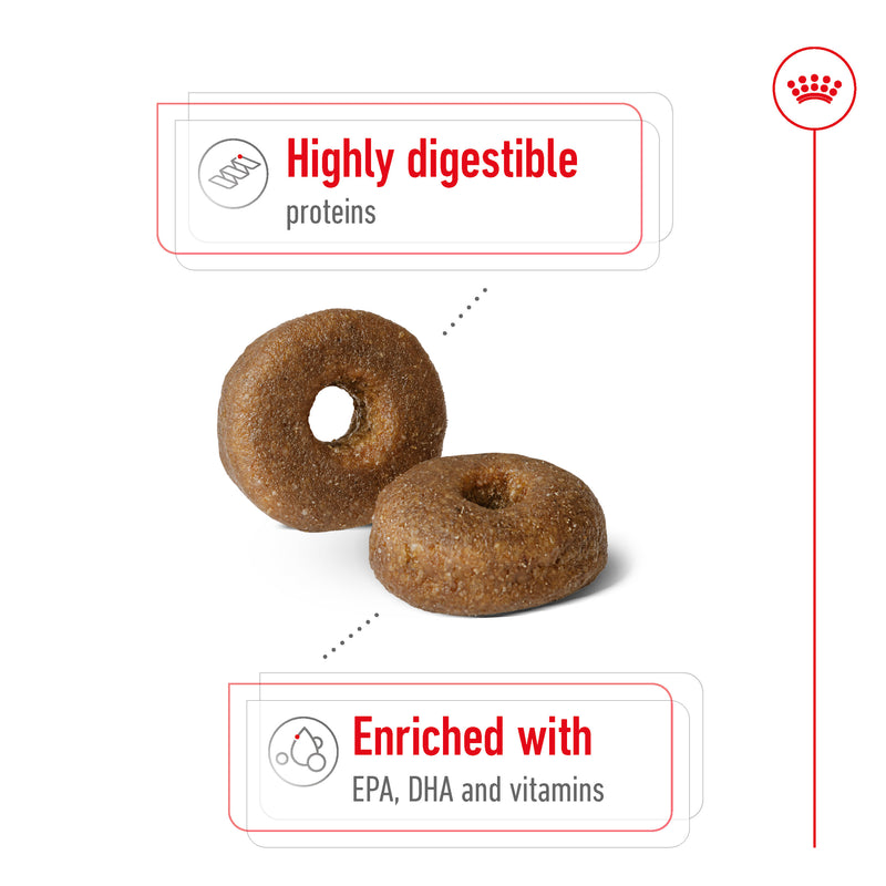 ROYAL CANIN® Maxi Ageing 8+ Dry Dog Food 15kg