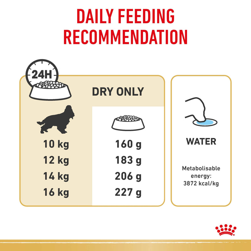 ROYAL CANIN® Cocker Spaniel Breed Adult Dry Dog Food 3kg