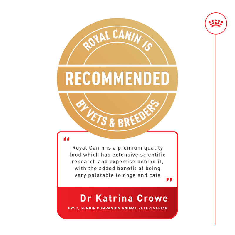 ROYAL CANIN® Cocker Spaniel Breed Adult Dry Dog Food 3kg