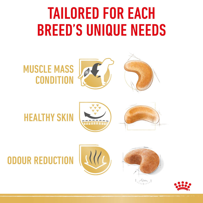 ROYAL CANIN® French Bulldog Breed Adult Dry Dog Food