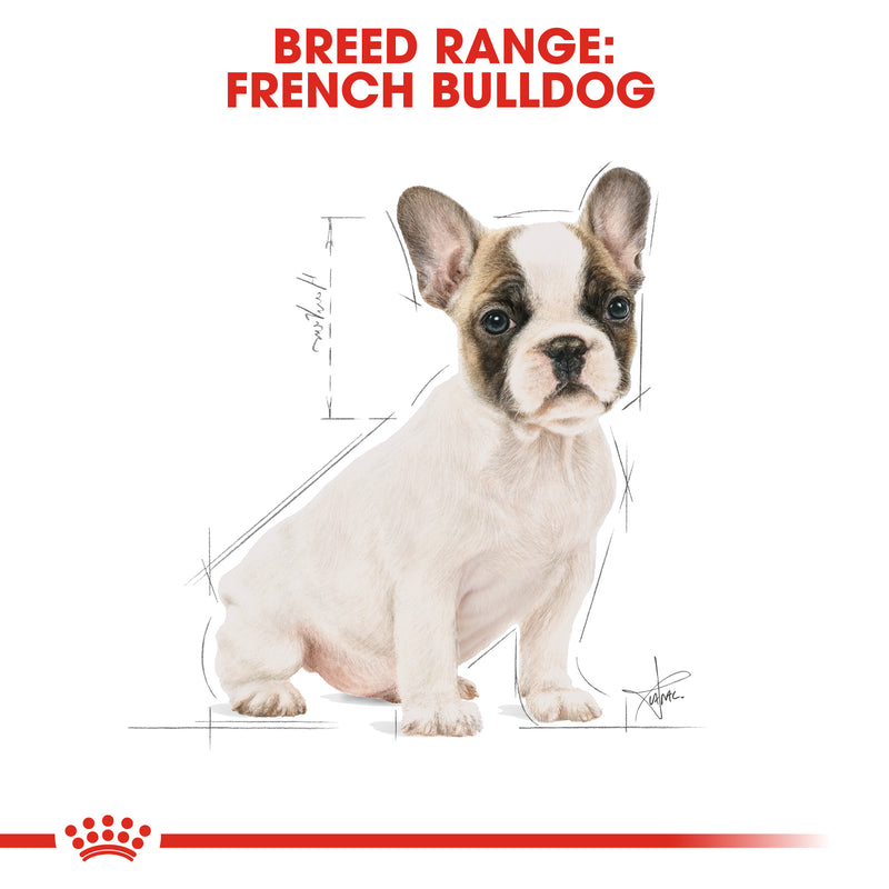 ROYAL CANIN® French Bulldog Breed Puppy Dry Dog Food 3kg