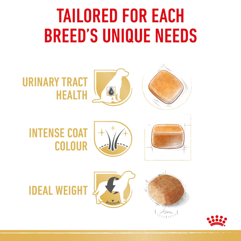 ROYAL CANIN® Miniature Schnauzer Breed Adult Dry Dog Food