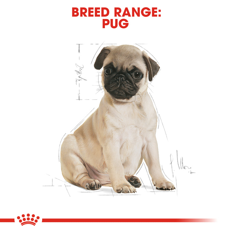 ROYAL CANIN® Pug Breed Puppy Dry Dog Food 1.5kg