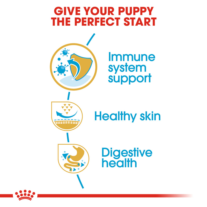 ROYAL CANIN® Pug Breed Puppy Dry Dog Food 1.5kg