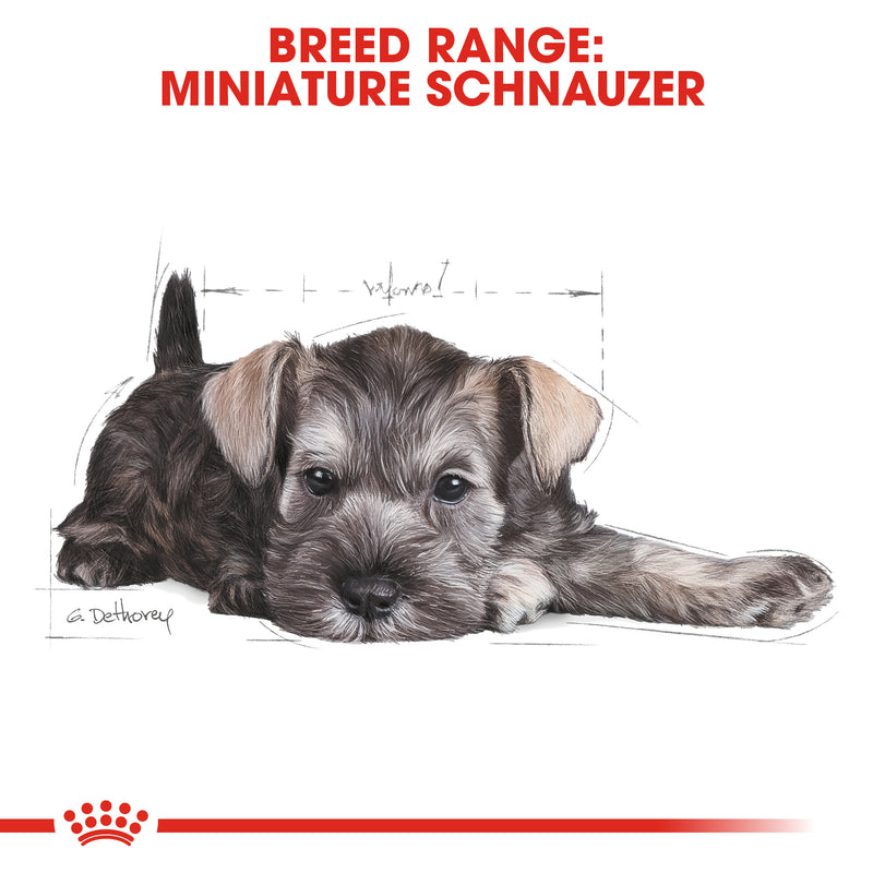 ROYAL CANIN® Miniature Schnauzer Breed Puppy Dry Dog Food 1.5kg