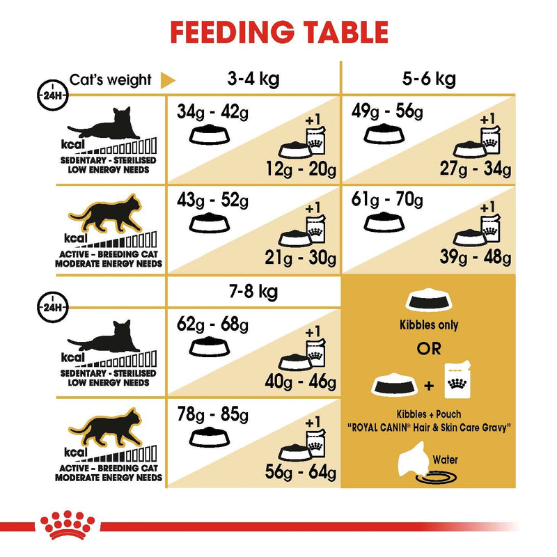 ROYAL CANIN® Ragdoll Breed Adult Dry Cat Food