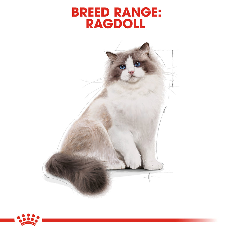 ROYAL CANIN® Ragdoll Breed Adult Dry Cat Food