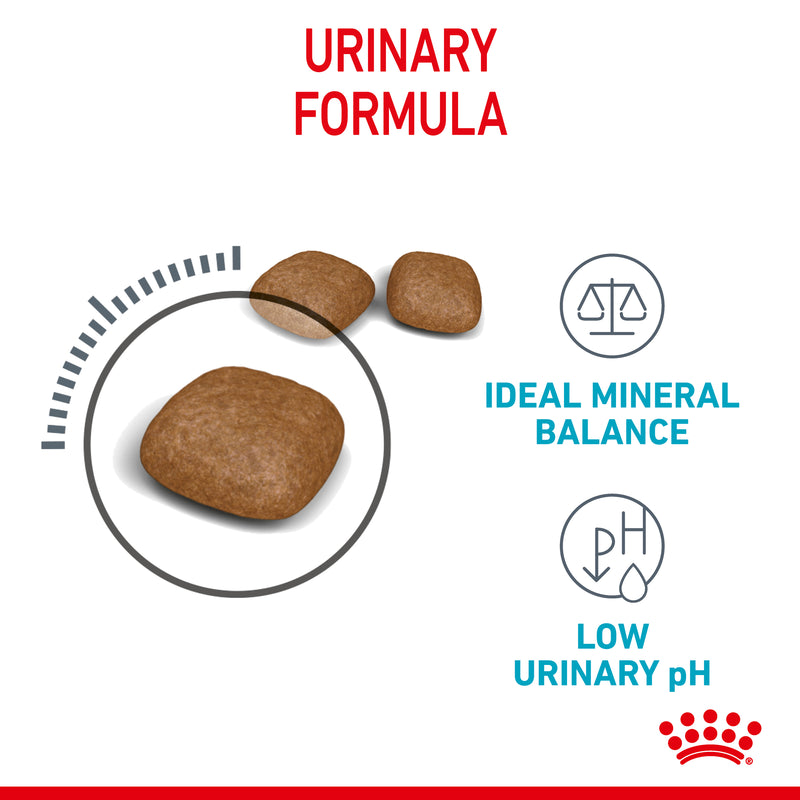 ROYAL CANIN® Urinary Care Adult Dry Cat Food
