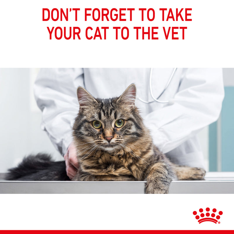 ROYAL CANIN® Urinary Care Adult Dry Cat Food