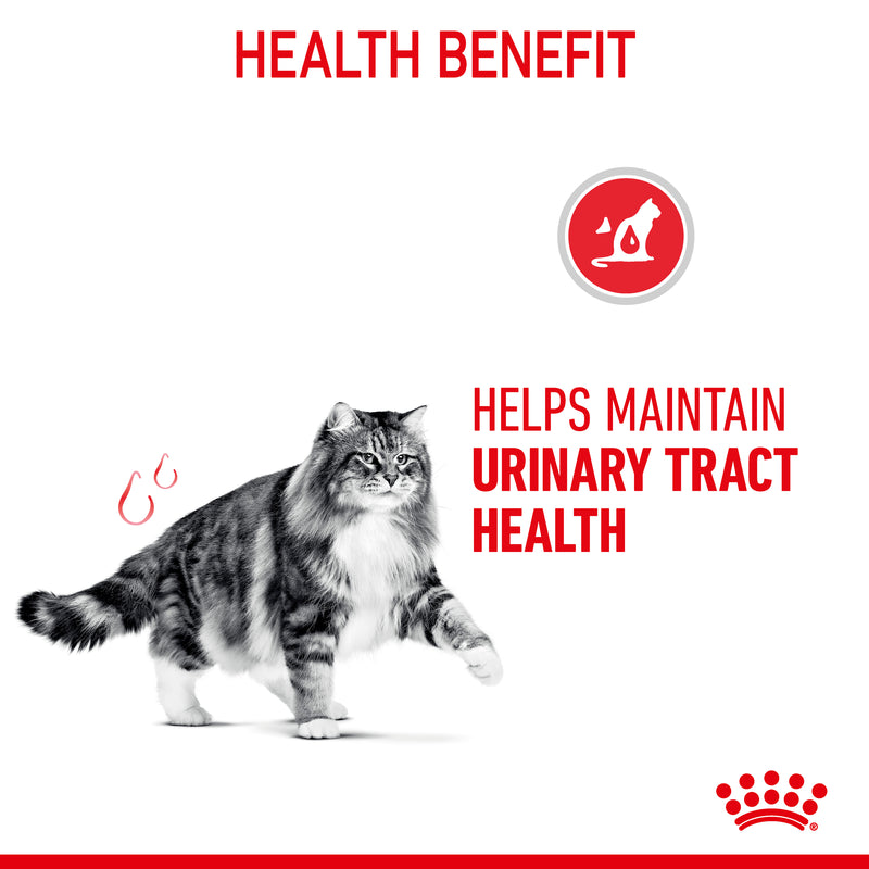 ROYAL CANIN® Urinary Care Adult Dry Cat Food