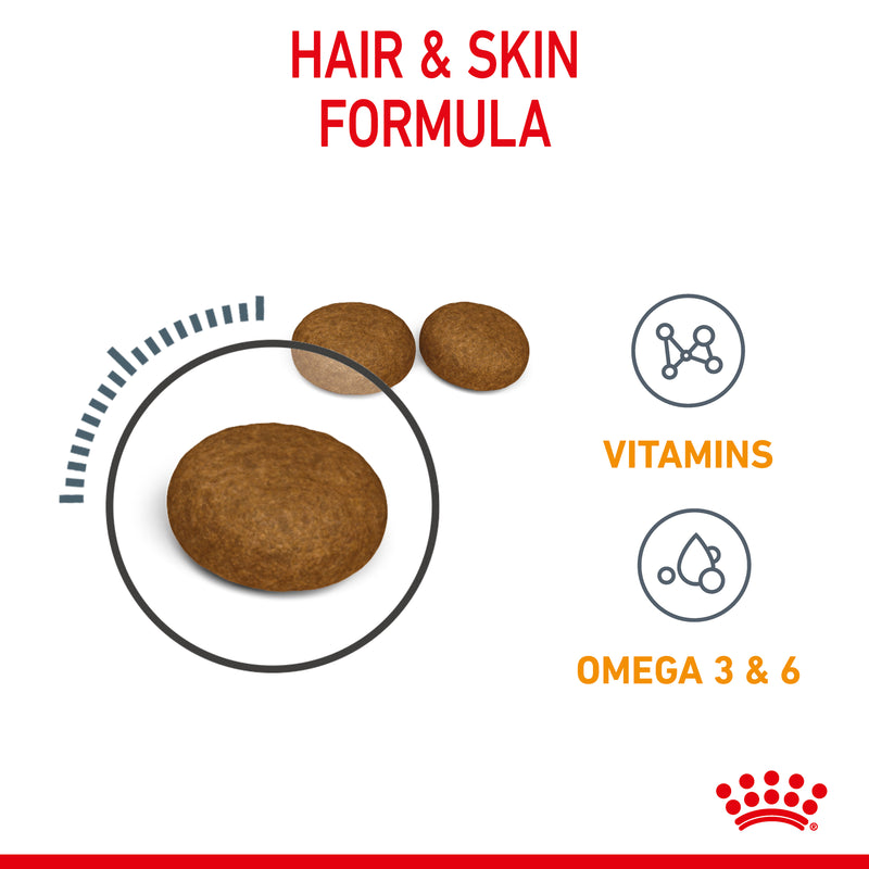 ROYAL CANIN® Hair & Skin Care Adult Dry Cat Food