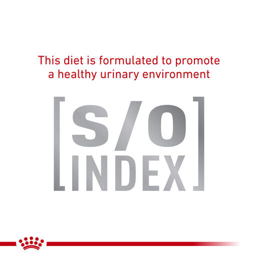ROYAL CANIN® VETERINARY DIET Anallergenic Adult Dry Cat Food 2kg