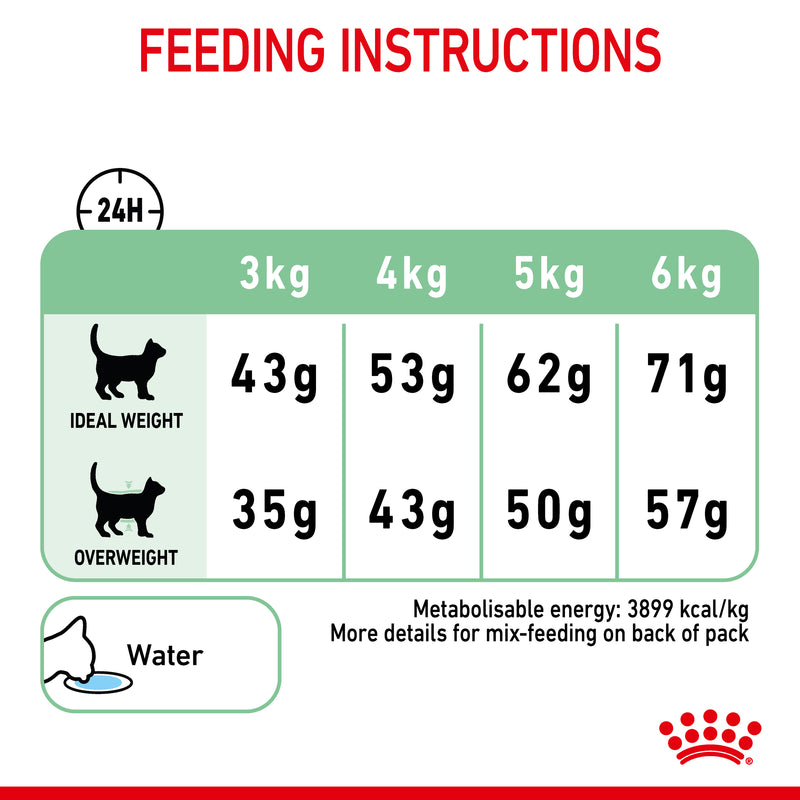 ROYAL CANIN® Digestive Care Adult Dry Cat Food 2kg