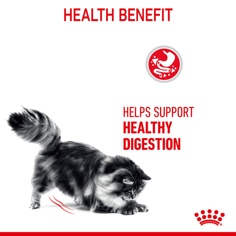 ROYAL CANIN® Digestive Care Adult Dry Cat Food 2kg