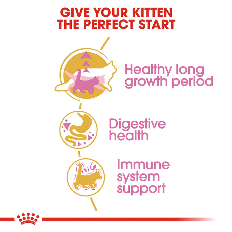 ROYAL CANIN® Maine Coon Breed Kitten Dry Cat Food 2kg