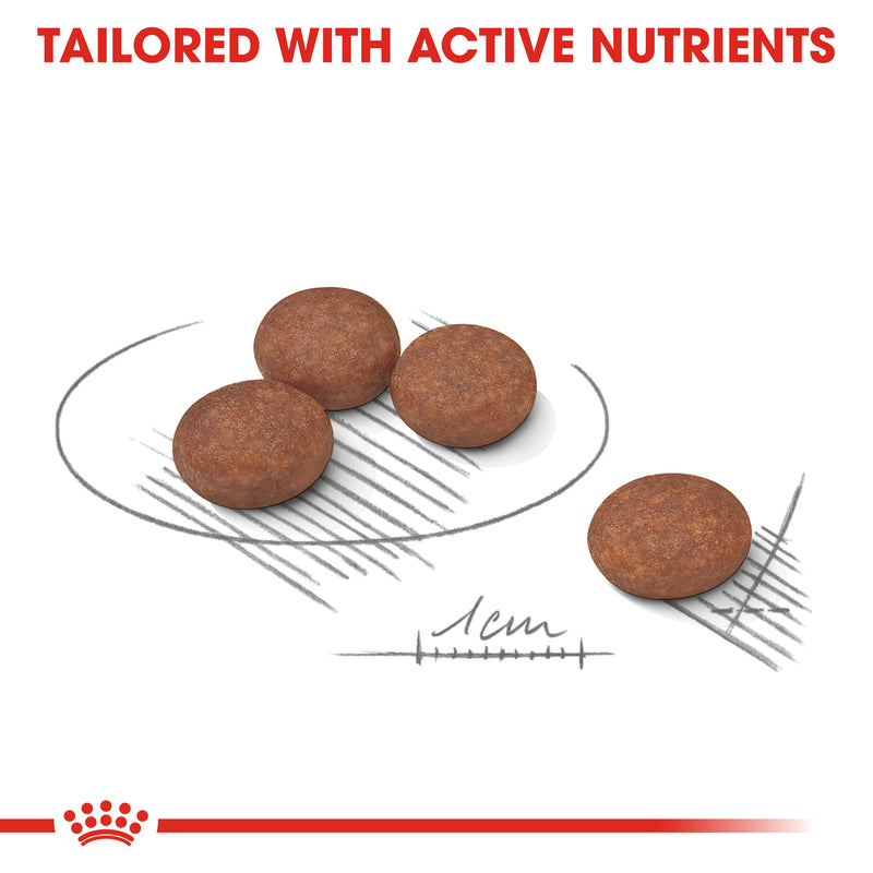 ROYAL CANIN® Mini Adult Digestive Care Dry Dog Food