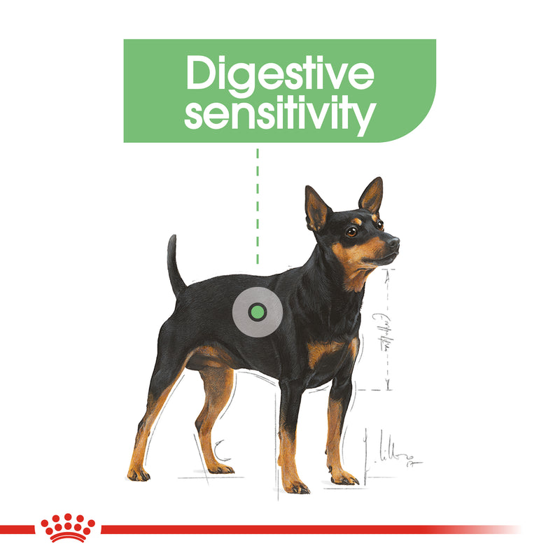 ROYAL CANIN® Mini Adult Digestive Care Dry Dog Food