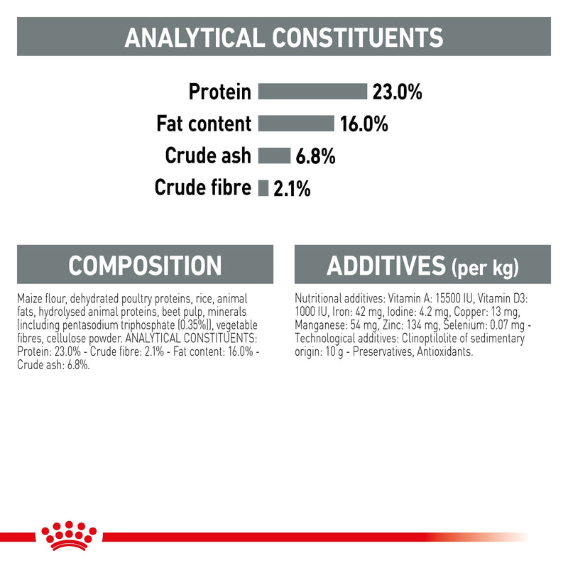 ROYAL CANIN® Mini Dental Care Dry Adult Dog Food 3kg