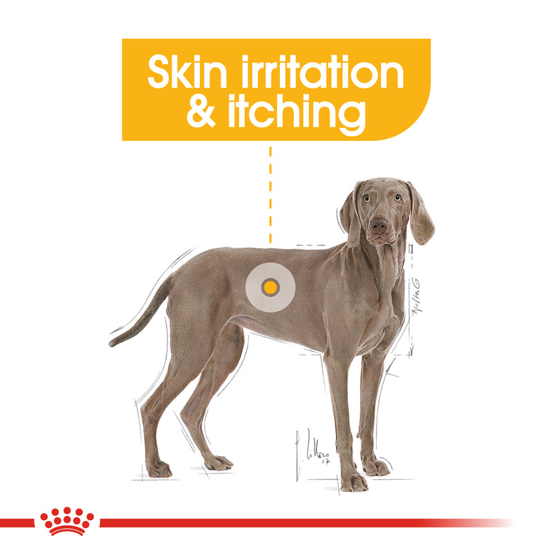 ROYAL CANIN® Maxi Dermacomfort Care Dry Adult Dog Food 12kg