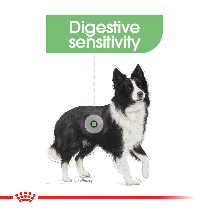 ROYAL CANIN® Medium Adult Digestive Care Dry Dog Food 12kg