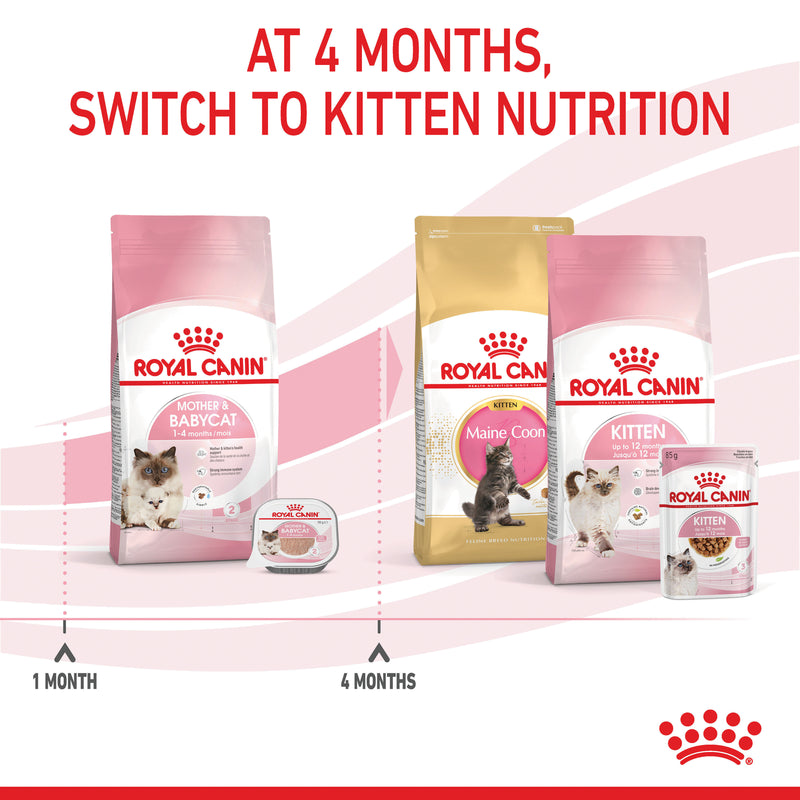 ROYAL CANIN® Mother & Babycat Dry Cat Food