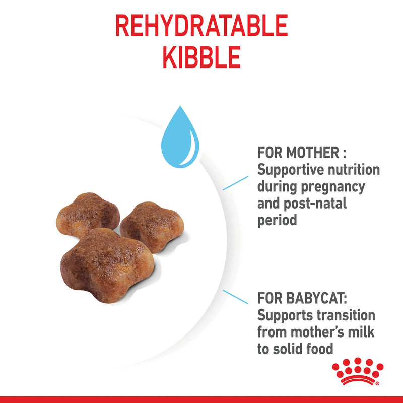 ROYAL CANIN® Mother & Babycat Dry Cat Food