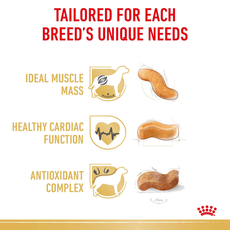 ROYAL CANIN® Boxer Breed Adult Dry Dog Food 12kg